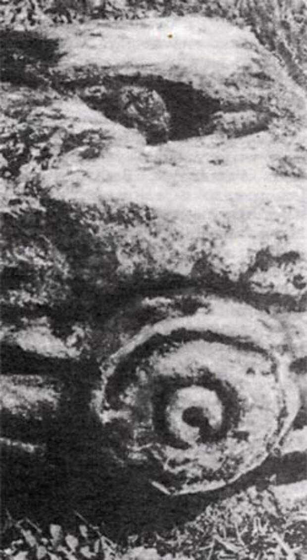 Поиски в районе хавитты принесли обильные плоды: участники экспедиции нашли обломки статуй и ритуальных предметов, немало камней с солнечными символами. 