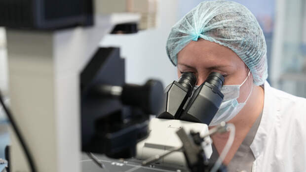 Кишечные бактерии связали с риском развития деменции