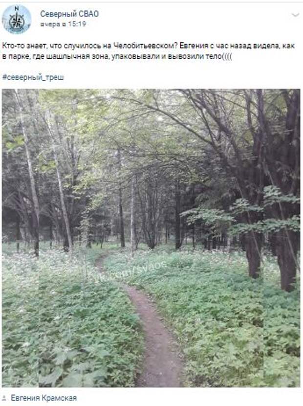 В кустах на Челобитьевском шоссе обнаружили загадочное «тело»