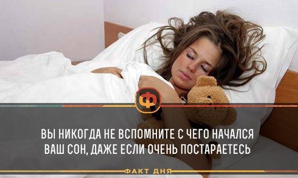 Любопытные факты, которые вас удивят