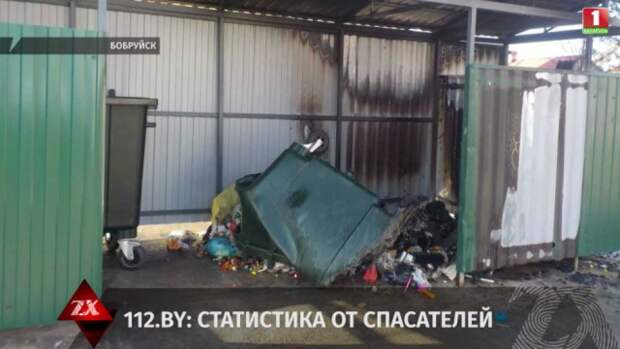 Детское любопытство и незатушенный окурок спровоцировали пожары, олененка достали из металлического забора - обзор ЧП.