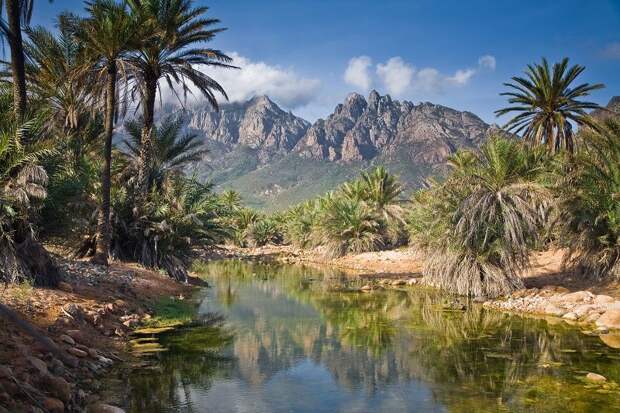Удивительный остров Сокотра Socotra08 Удивительный остров Сокотра