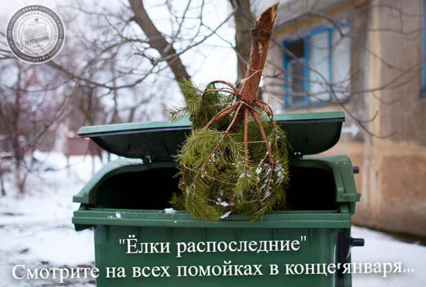 Елки