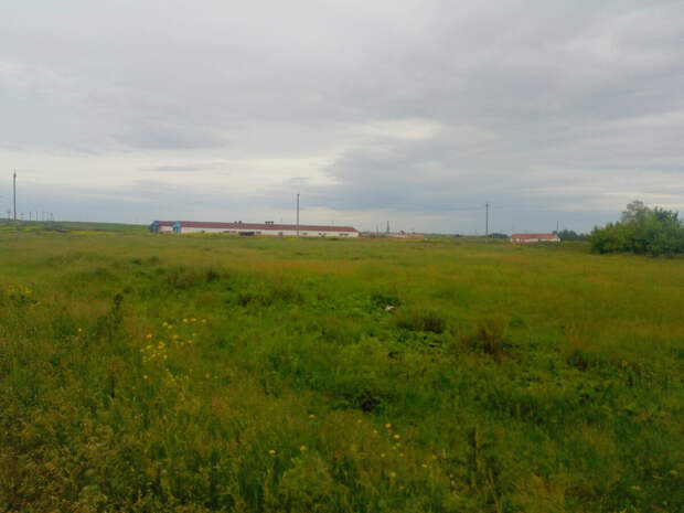 Действующая ферма, с. Кулагино, Оренбургская область.