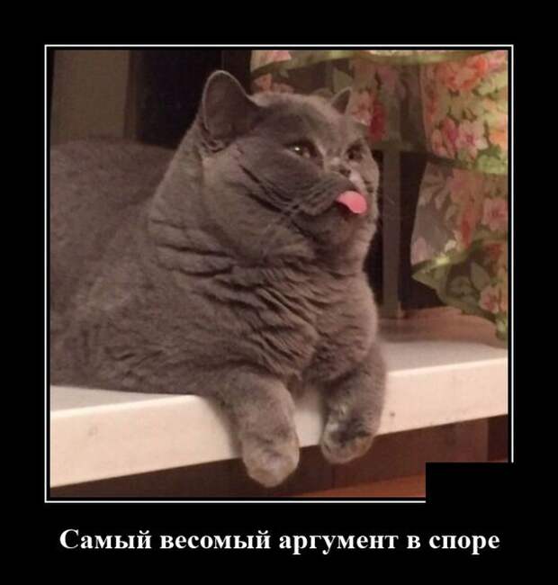 Демотиваторы 7 мая 2021
