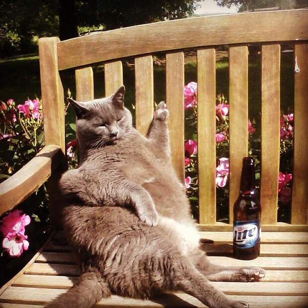 Фотография: 50 фотографии животных, которые вы просто обязаны увидеть №17 - BigPicture.ru