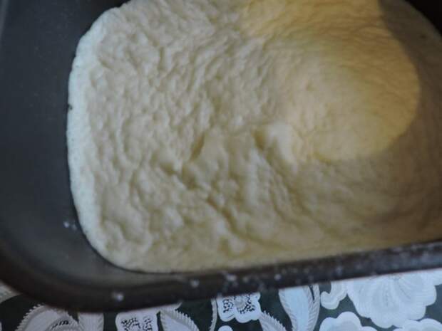 Тесто в хлебопечке Тесто в хлебопечке грибы, еда, пирог, сделай сам, фоничка