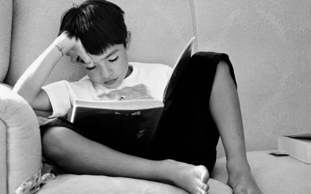 Четыре библиотеки на Соколе продлили срок пользования книгами Фото с сайта pixabay.com