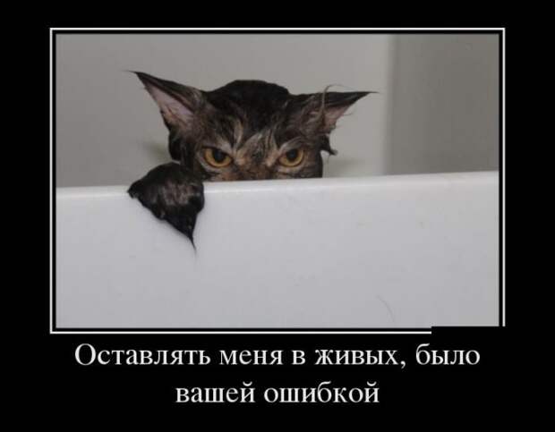 Прикольные демотиваторы