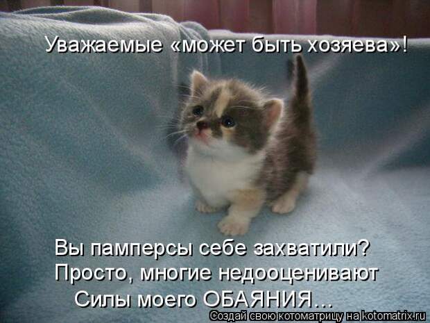 Новые котоматрицы с классным задором (30 фото) Новые котоматрицы с классным задором (30 фото)