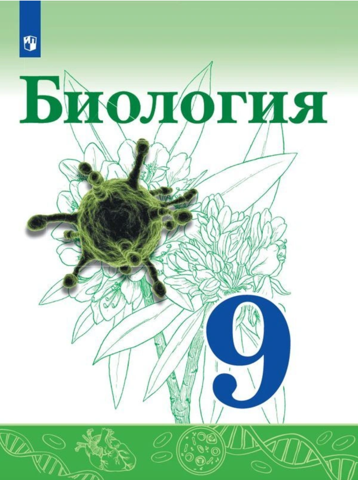 КОРОНАВИРУС — РАДУЕМСЯ