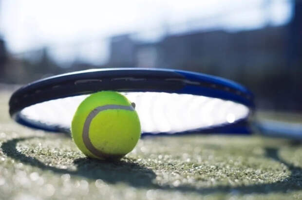 Андреева и Свитолина отказались от рукопожатия после матча Australian Open