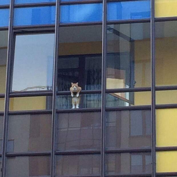 Шедевры, снятые в нужный момент