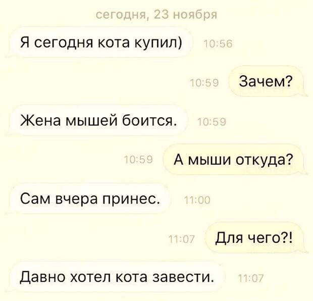 Смешные комментарии из социальных сетей