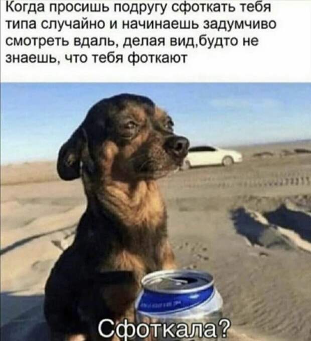 Шутки и мемы из Сети