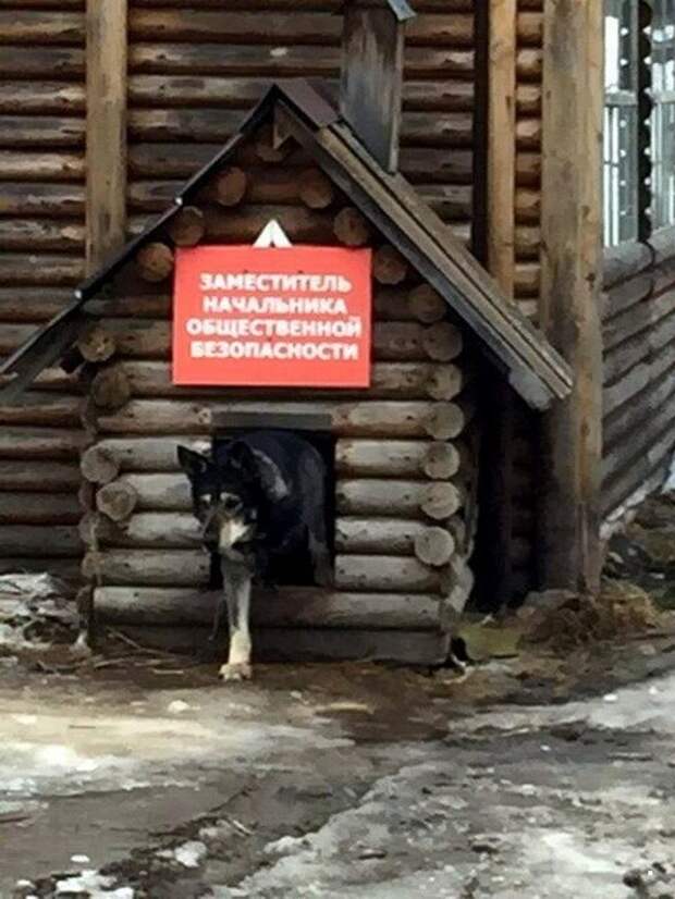 ФотоВсячина