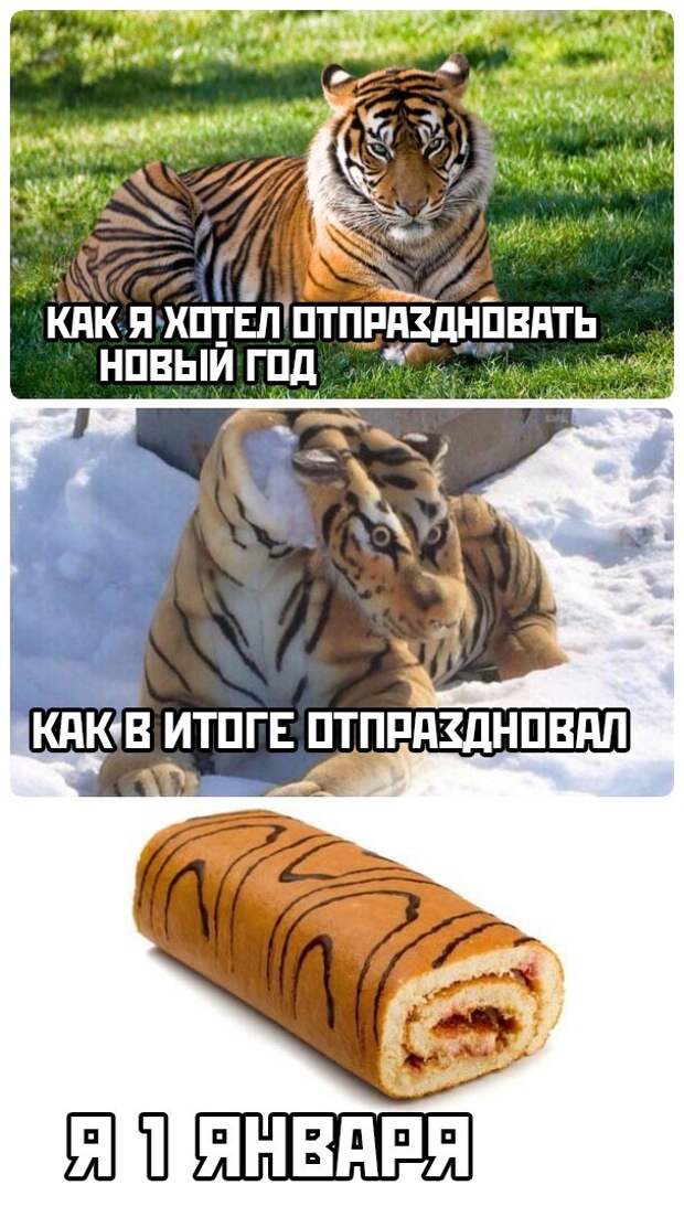 Подборка картинок (31 фото)