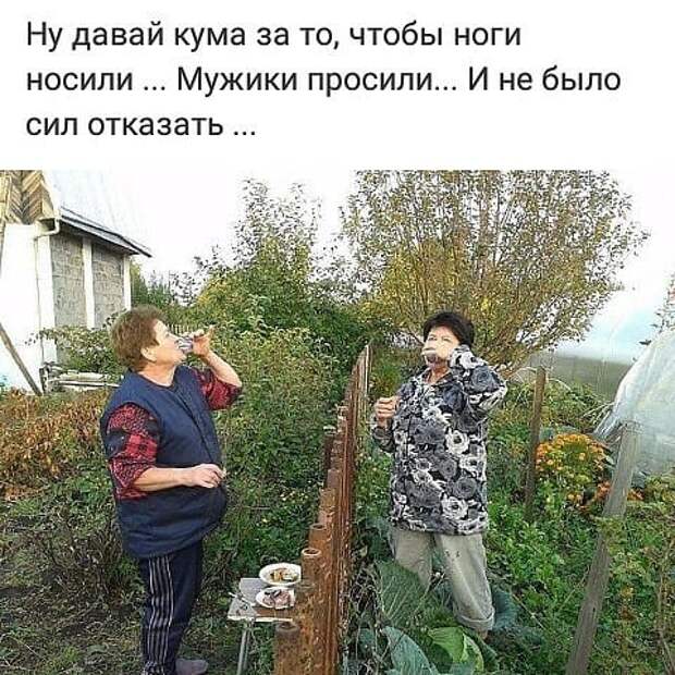 Дорогой Дед Мороз! У меня есть фото, где ты в бане с тремя Снегурочками!..