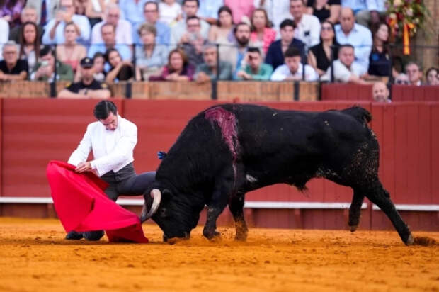 В Испании хотят запретить детям посещать корриду