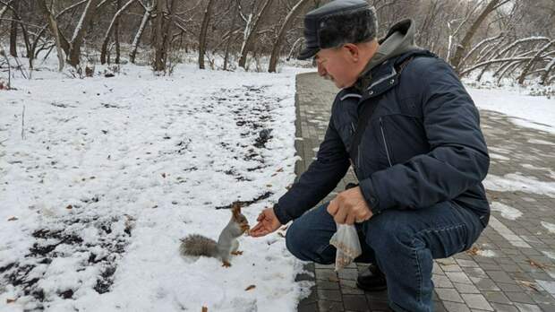 Парк им. Ленина в октябре 2024 года / Фото: amic.ru