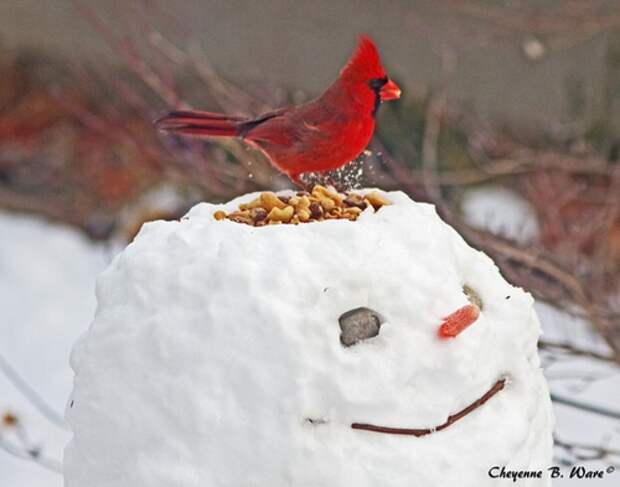 creative snowman ideas