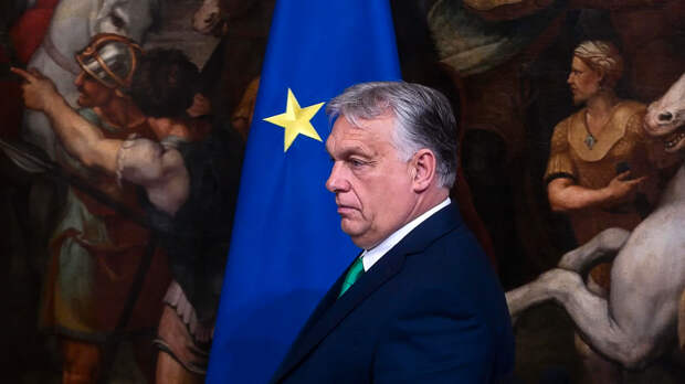 Евродепутат Картайзер: Евросоюз пытается избавиться от Орбана