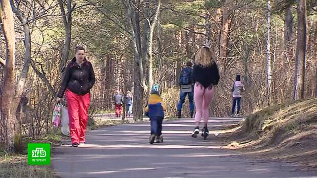 Теплый май провоцирует петербуржцев нарушать самоизоляцию