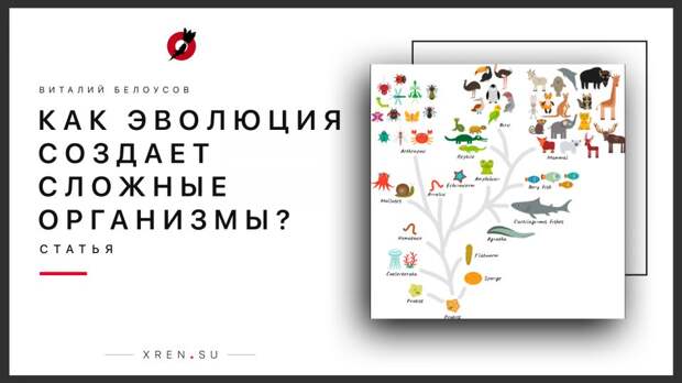 Как эволюция создает сложные организмы?