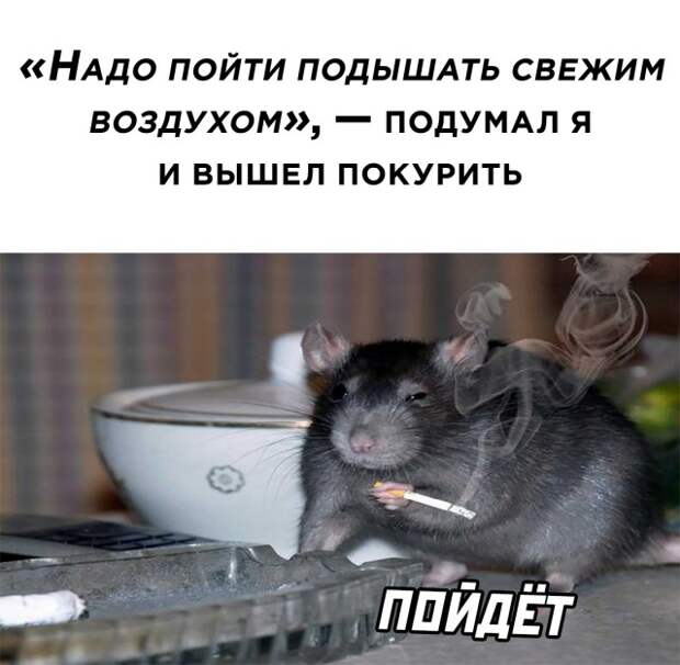 Смешные картинки вечер 17 февраля 2021