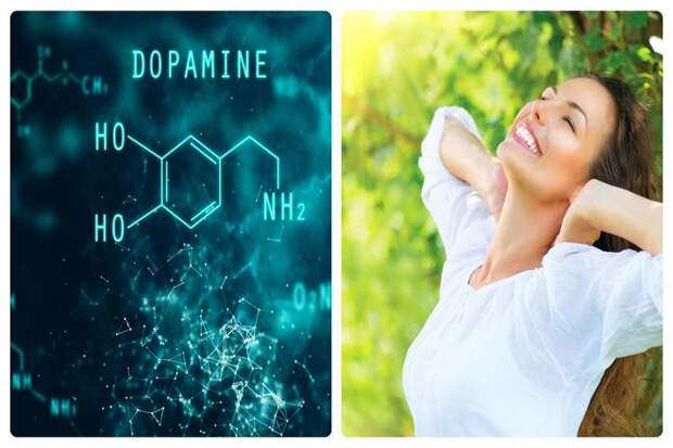 Дофамин - это гормон, который возникает как чувство вознаграждения. И отвечает за поведение, возникающее после достижения цели или удовлетворения определенной потребности. Он оказывает существенное влияние на поведение человека. Поэтому при его недостатке возможны психологические проблемы.