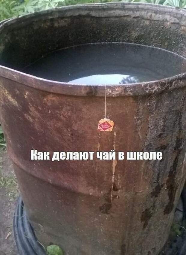 Самые смешные свежие картинки с надписями (четверг)