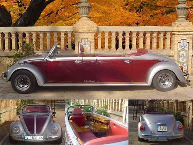 Лимузин-кабриолет на базе Volkswagen Beetle (4 фото)