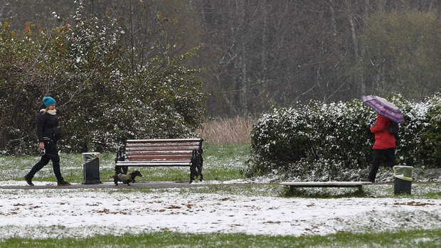 Синоптик Ильин: москвичей ожидают заморозки до -2 градусов, дожди и гололедица