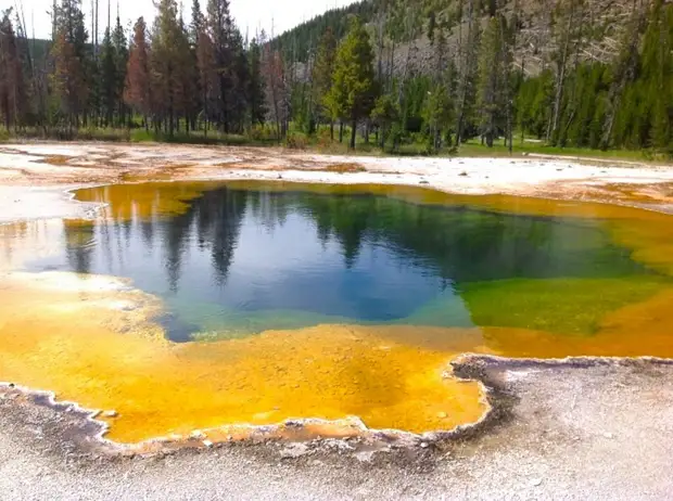 Озеро Утренней Славы (Morning Glory Pool) в национальном парке Йеллоустоуна (Yellowstone National Park). Фото с сайта NewPix.ru