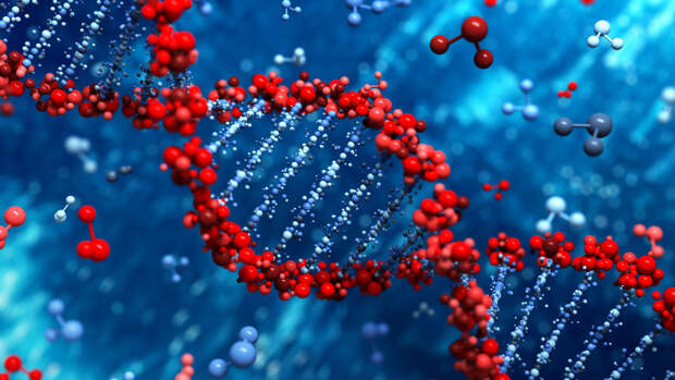 NatGen: крупнейший в мире анализ выявил 95 фрагментов ДНК, связанных с ПТСР
