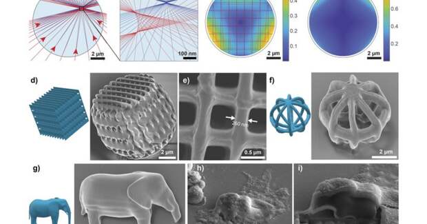 В Словении напечатали структуры внутри клеток с помощью двухфотонной печати