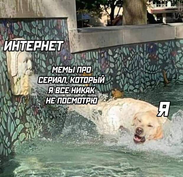 Смешные картинки 18 октября 2021 года