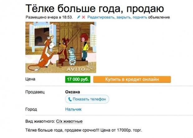Гении рекламы на avito реклама, юмор, авито