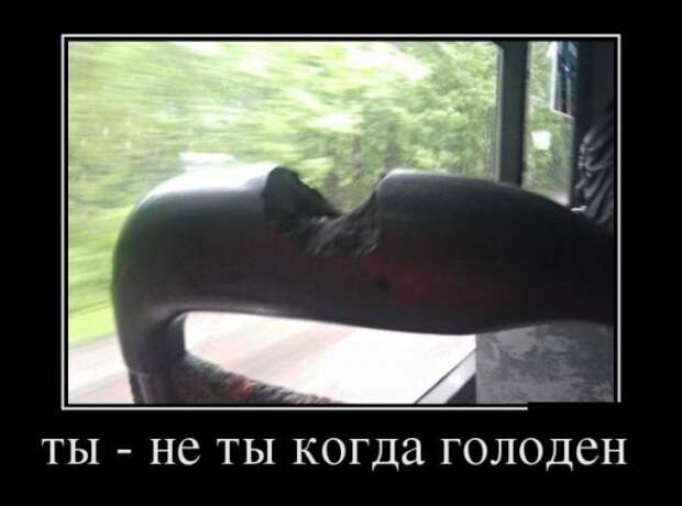 Весёлые и позитивные картинки 23.09.2013