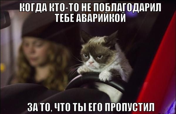 Подборка автомобильных приколов