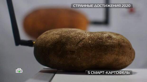 Самые странные изобретения 2020 года по версии «Чуда техники»