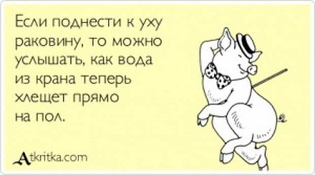 Свежие прикольные аткрытки (34 шт)