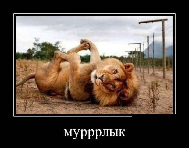 Подборка классных демотиваторов № 67