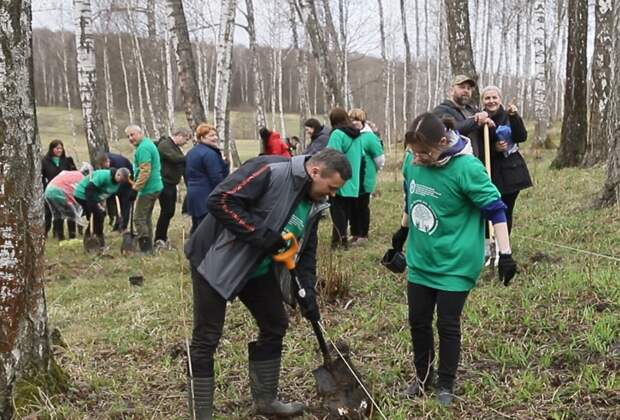 В Ясной Поляне высадили более 400 саженцев деревьев