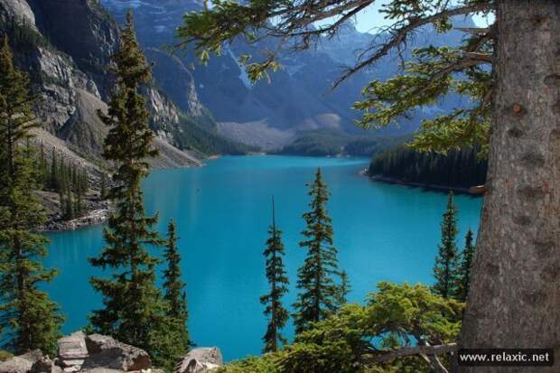 nature_023