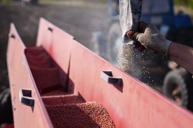 Axios: Украина пригрозила Израилю кризисом из-за покупки российского зерна