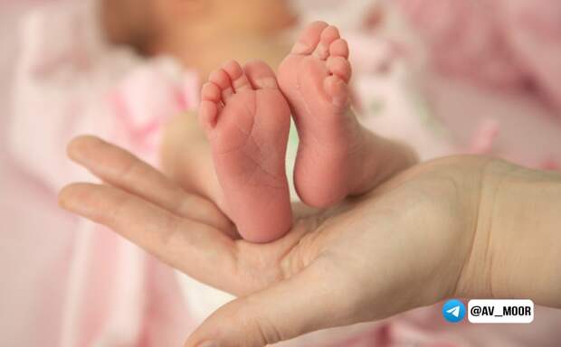 Депутат Госдумы потребовал от Минздрава проверить все роддома России