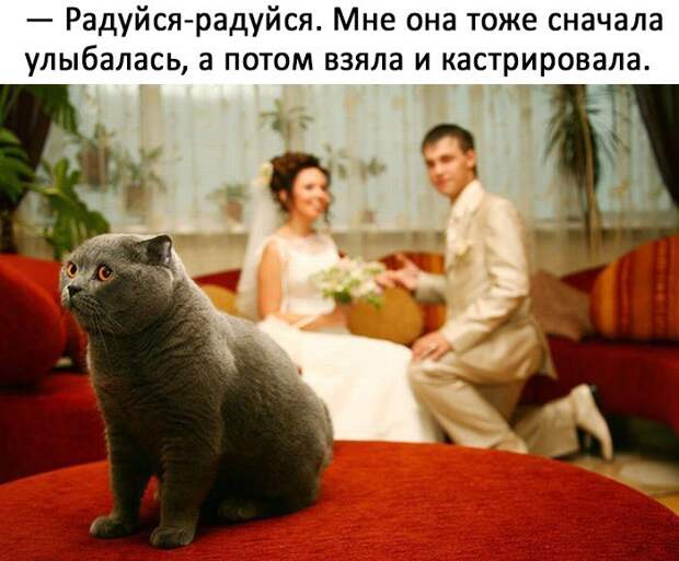 Подборка смешных картинок и фото с надписями со смыслом (10 фото)