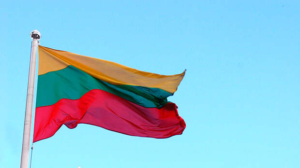 Военнослужащие США разорвали флаг Литвы Военнослужащие США разорвали флаг Литвы