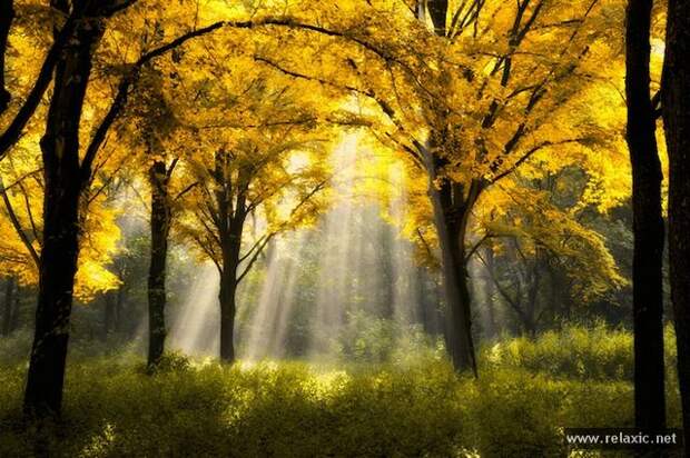 Sun_rays_002